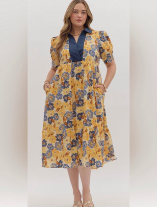 Entro Floral Contrast Collar Dress