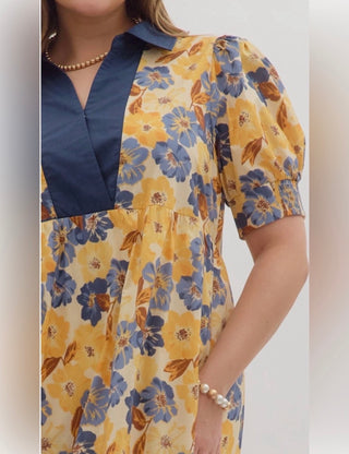 Entro Floral Contrast Collar Dress