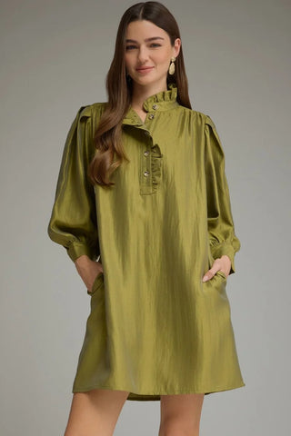Entro Ruffle Neck Mini Dress