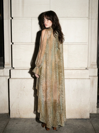 Animal Print Sheer Chiffon High-Low Dress