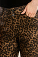 brown leopard